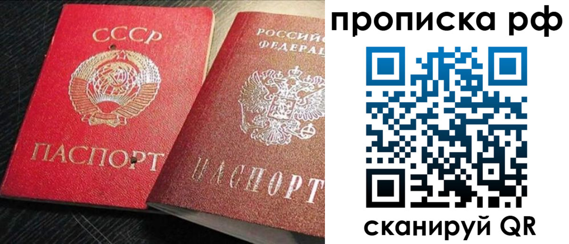 где прописаться в Дмитрове